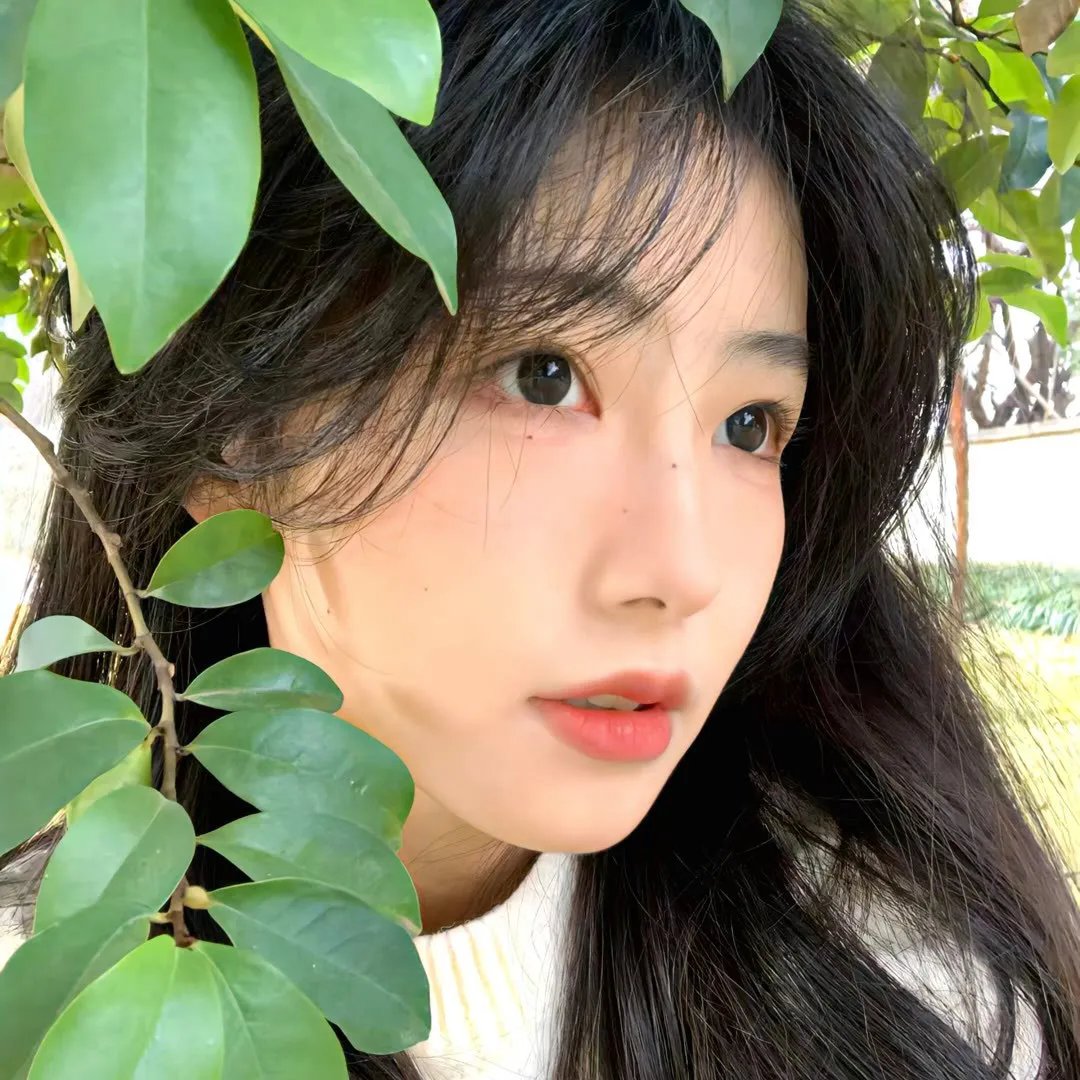 迷雾